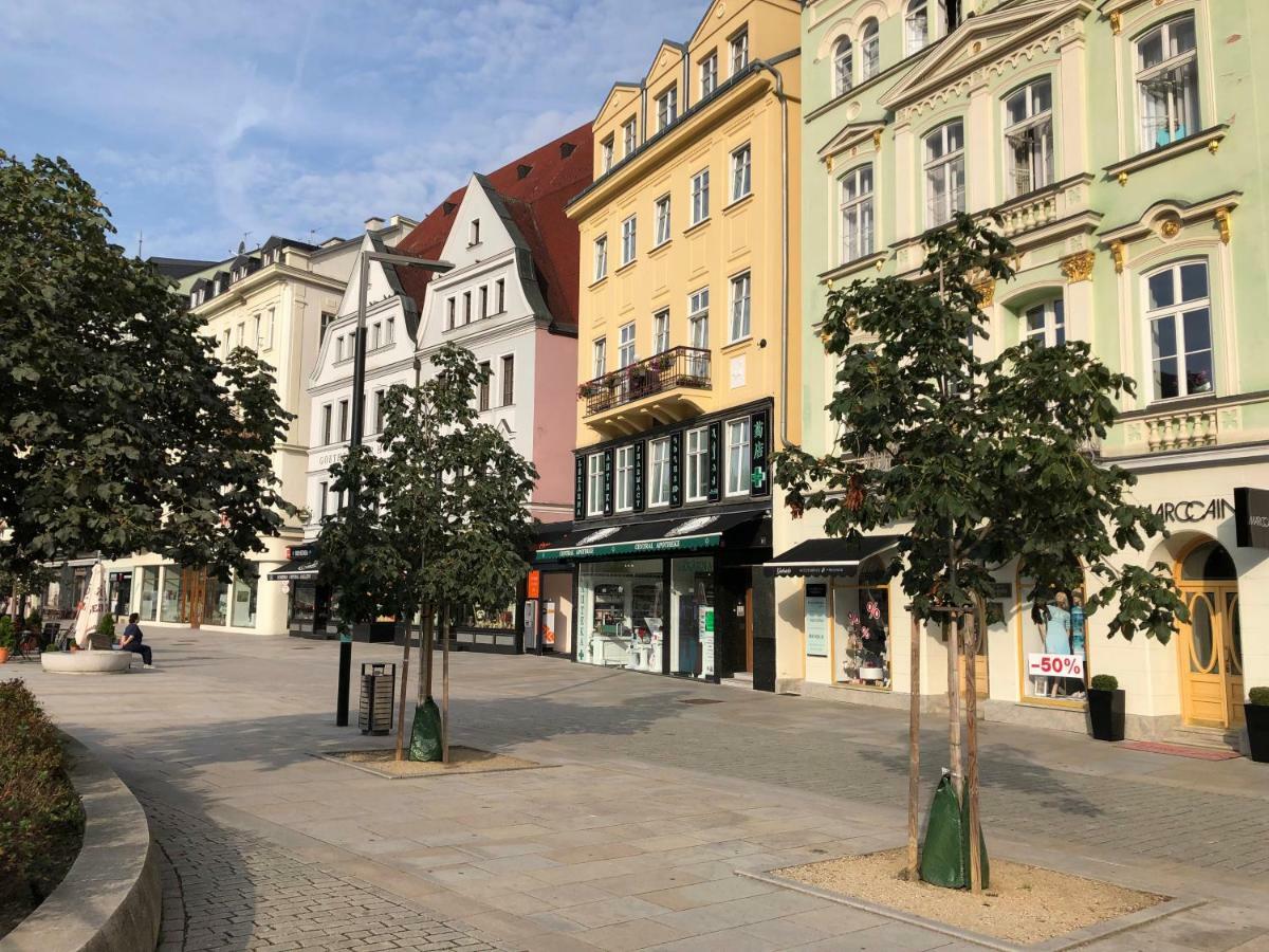 Apartment Orchidej U Vridla Karlovy Vary